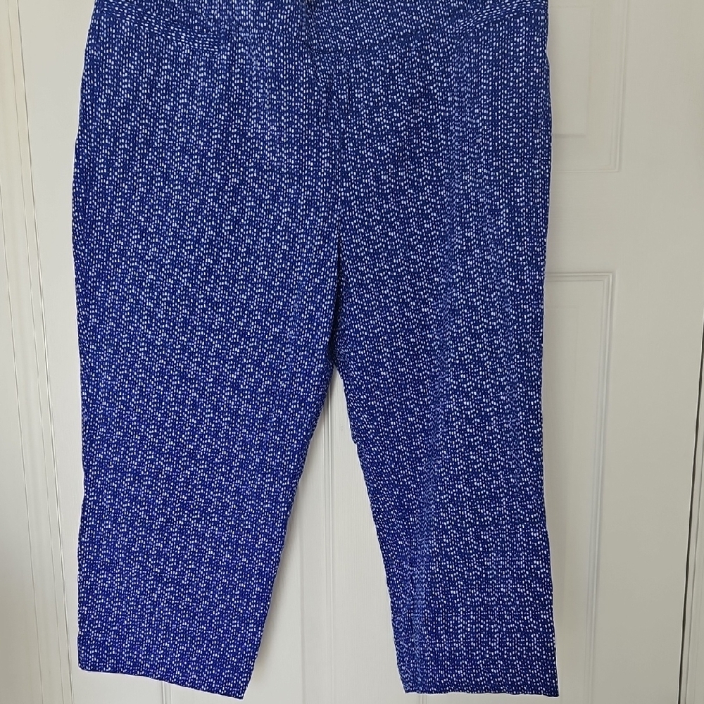 Briggs New York Blue Patterned Capris